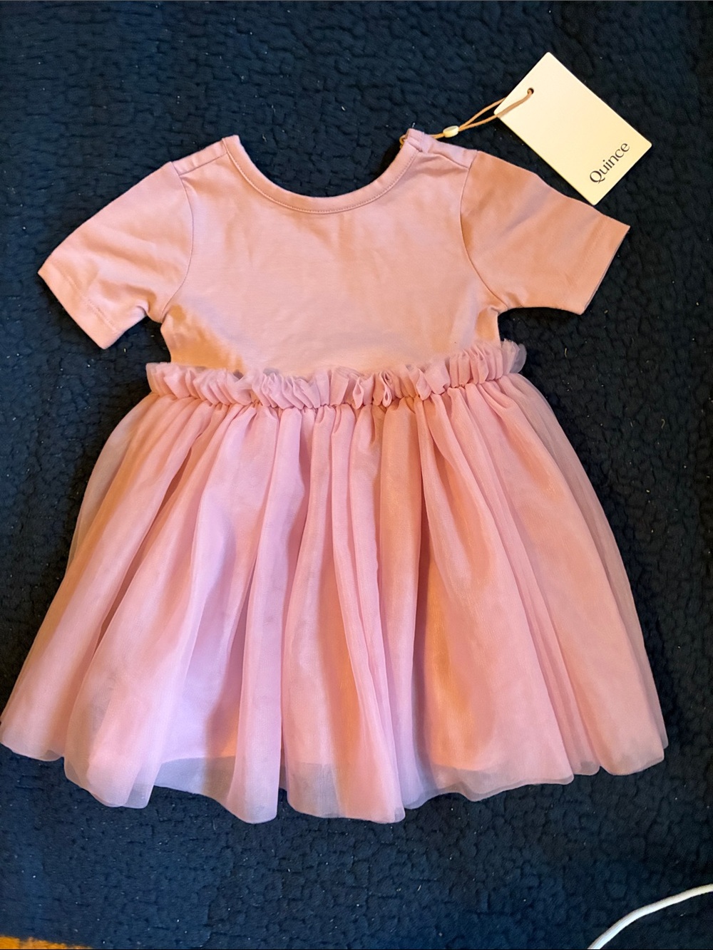 NWT Quince baby' Dusty Pink/lavender Tulle Party Dress